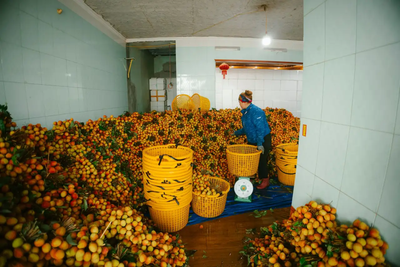 毫米波半导体器件在无线传输设备中的工艺管控与质量提升方案