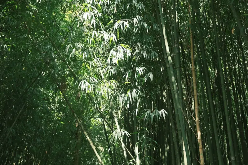 通信设备半导体器件与射频模块的集成设计技术解析